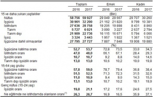 Mevsim etkilerinden arındırılmamış temel işgücü göstergeleri, TEMMUZ 2017