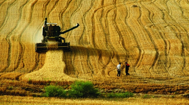 Tarımda çözüm kooperatifleşme