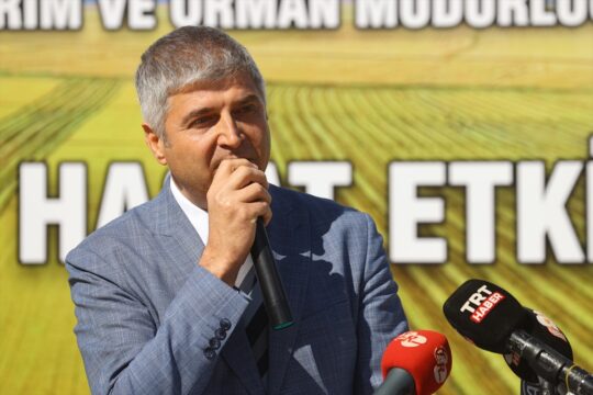 Türkiye'nin çeltik ambarı İpsala Ovası'nda çeltik hasadı etkinliği