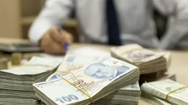Kamu kaynakları nereye harcanıyor?