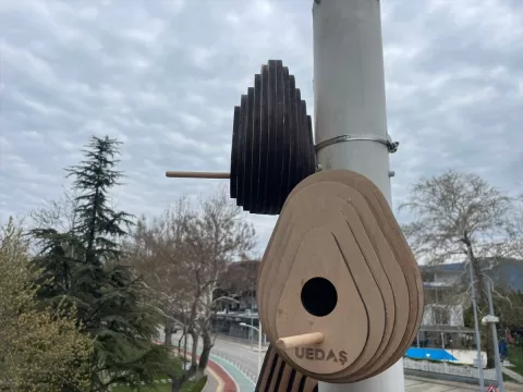 UEDAŞ kuş yuvası projesini başlattı