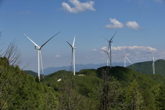 Eksim Enerji, 790 bin hanenin elektriğini rüzgardan üretti