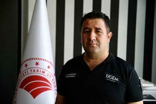 Orta ve Doğu Karadenizli fındık üreticileri hasada hazırlanıyor