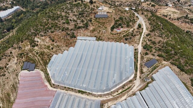 Antalya'da tropikal meyve bahçelerine kurulan GES enerji maliyetlerini düşürdü
