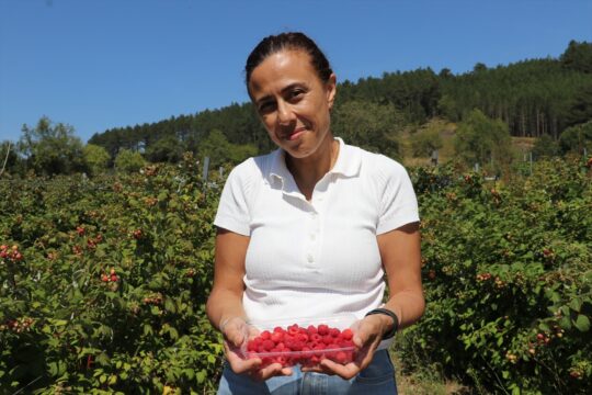 Sağlık sektörüne yıllarını verdikten sonra tarıma yönelen girişimci orman meyveleri üretiyor