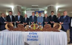 Aydın’da sezonun ilk kestaneleri 550 liradan satıldı