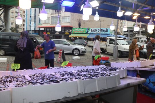 Rize’de balık tezgahlarında hamsi bolluğu yaşanıyor