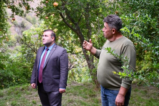 Yaktığı ateşle bahçesini zirai dondan koruyan nar üreticisi geçen yılki verimi yakaladı