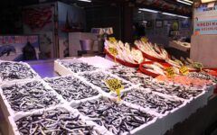 Trabzon’da hamsinin kilogramı 100 liraya yükseldi