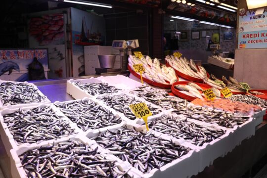 Trabzon’da hamsinin kilogramı 100 liraya yükseldi