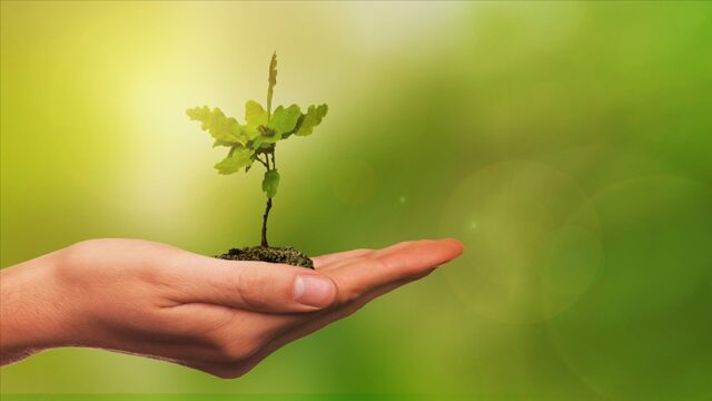 AB’den “yeşil mutabakat”ta geri adım…