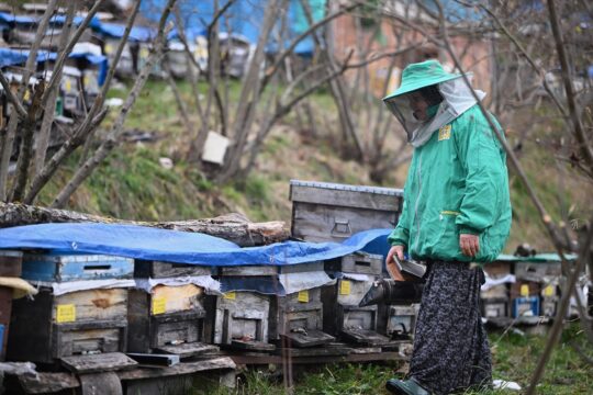 Kadın arıcı ata mesleğini 45 yıldır sürdürüyor