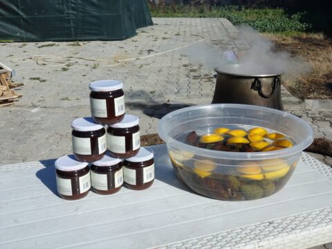 Ayvalık'ta kadın emeğiyle odun ateşinde 8 saat kaynatılan kozalak şuruba dönüşüyor