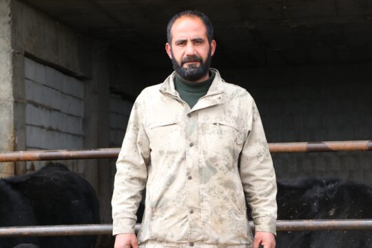 Kilisli üretici devlet desteğiyle sürüsünü büyüttü