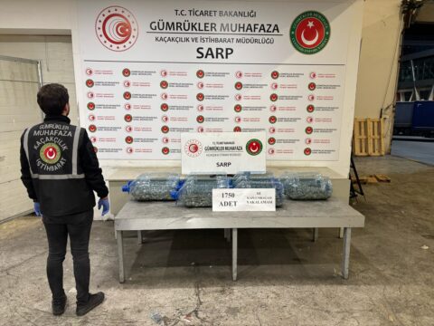 Ticaret Bakanlığı ekipleri geçen yıl kaçak girişim kapsamında 85 binden fazla canlı hayvan ele geçirdi