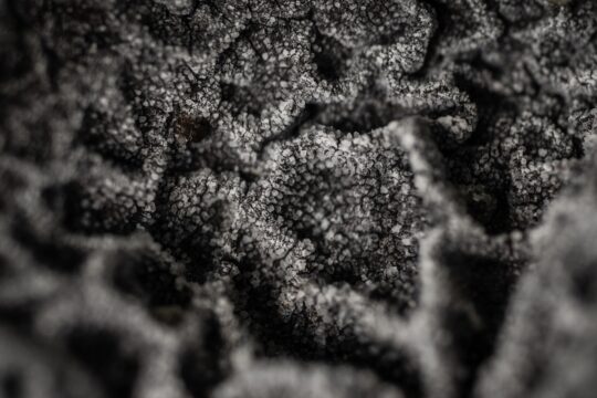 Türk bilim insanları Antarktika'daki araştırmalarıyla sağlık ve tarıma ışık tutuyor